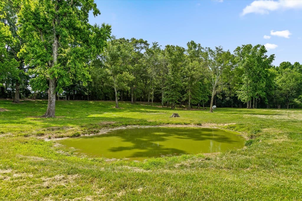 482 Glenn Howard Rd, Chatsworth GA 30705 - Photo