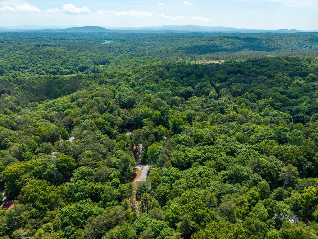 121 Orbit Lane, Ellijay GA 30540 - Photo