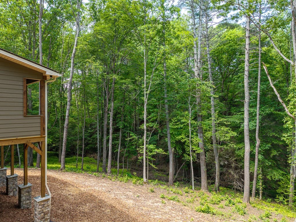 121 Orbit Lane, Ellijay GA 30540 - Photo