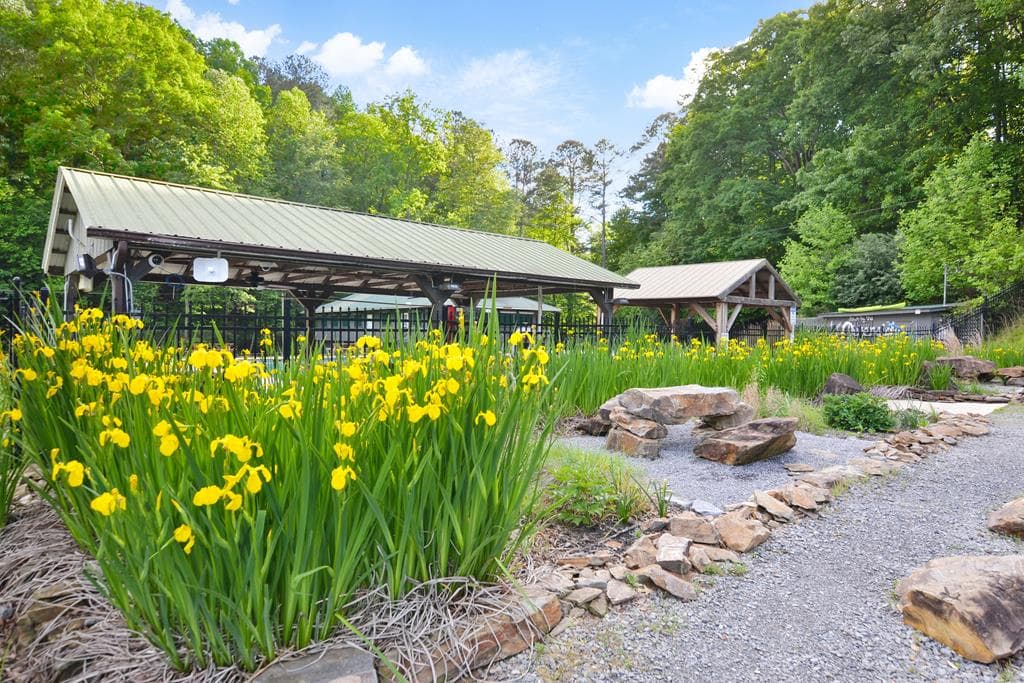 121 Orbit Lane, Ellijay GA 30540 - Photo