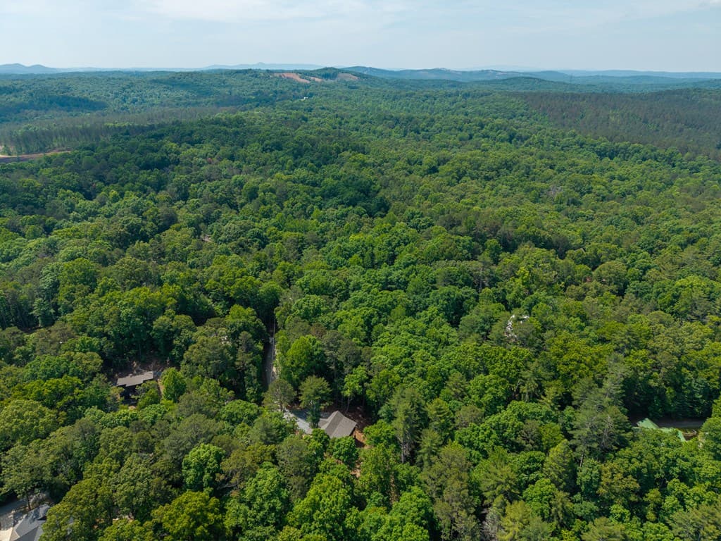 121 Orbit Lane, Ellijay GA 30540 - Photo