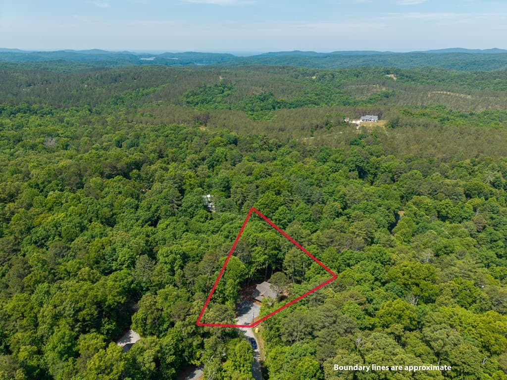 121 Orbit Lane, Ellijay GA 30540 - Photo