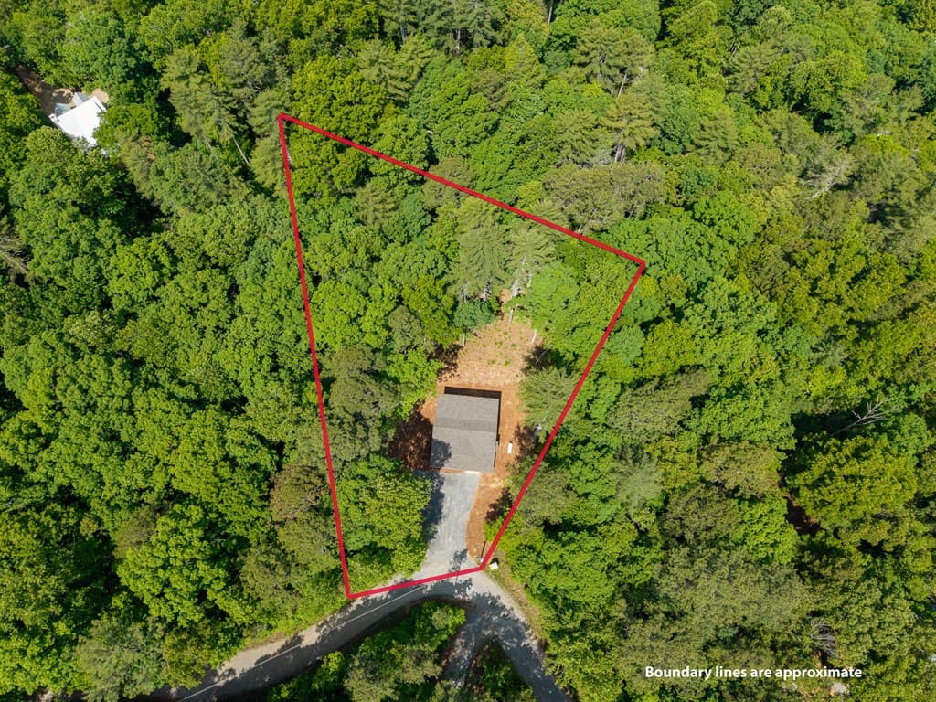 121 Orbit Lane, Ellijay GA 30540 - Photo