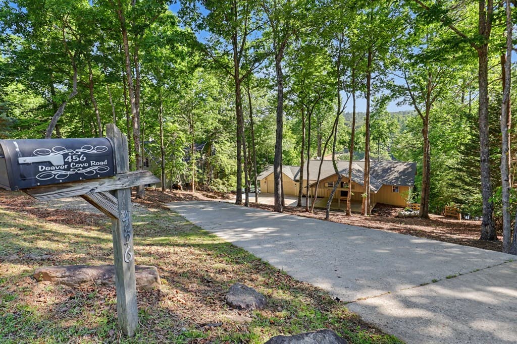 456 Deaver Cove Road, Blairsville GA 30512 - Photo