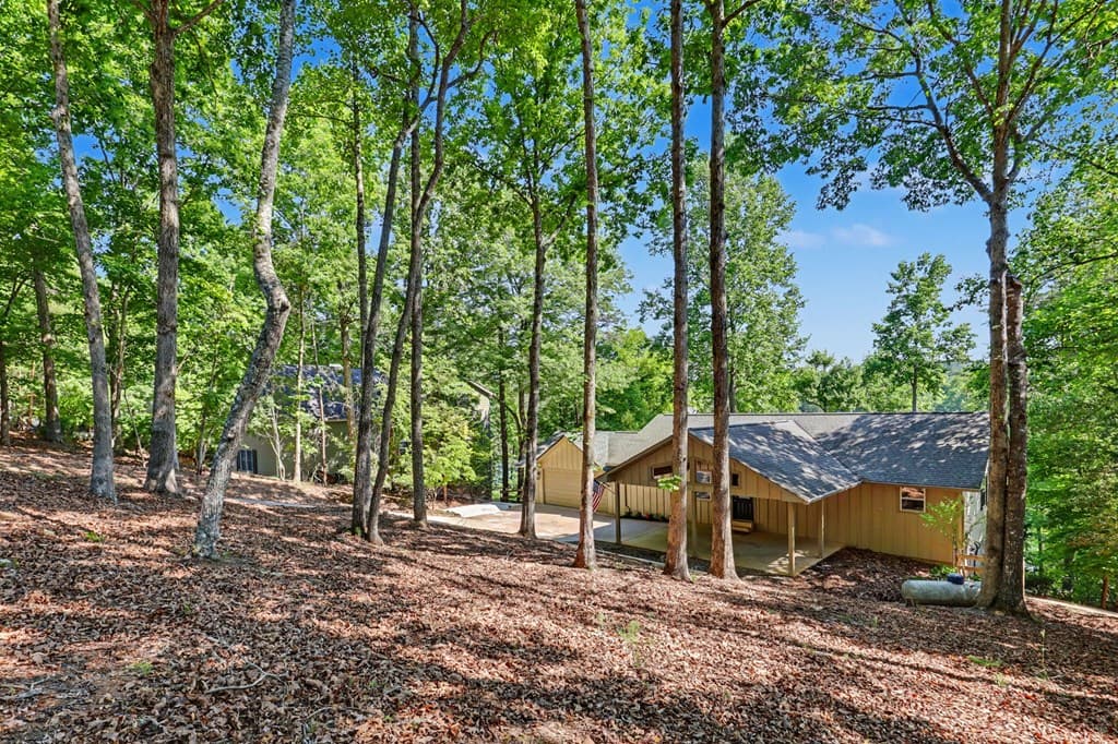 456 Deaver Cove Road, Blairsville GA 30512 - Photo