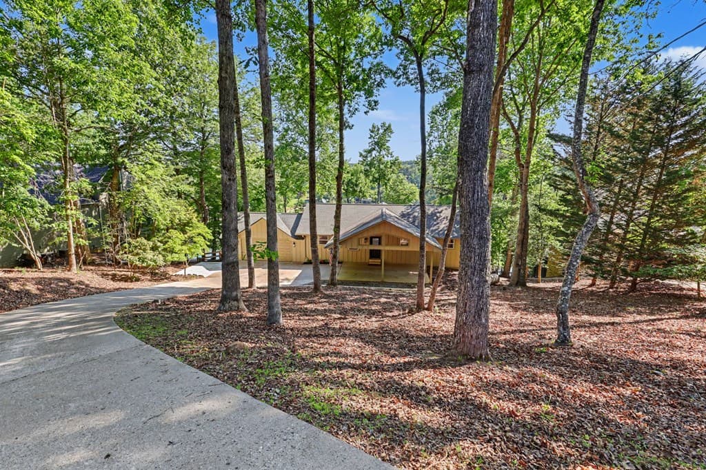 456 Deaver Cove Road, Blairsville GA 30512 - Photo