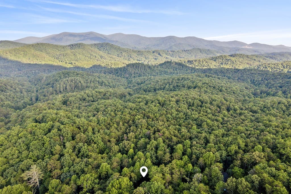 889 Granny Branch, Blue Ridge GA 30513 - Photo