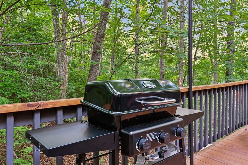 889 Granny Branch, Blue Ridge GA 30513 - Photo