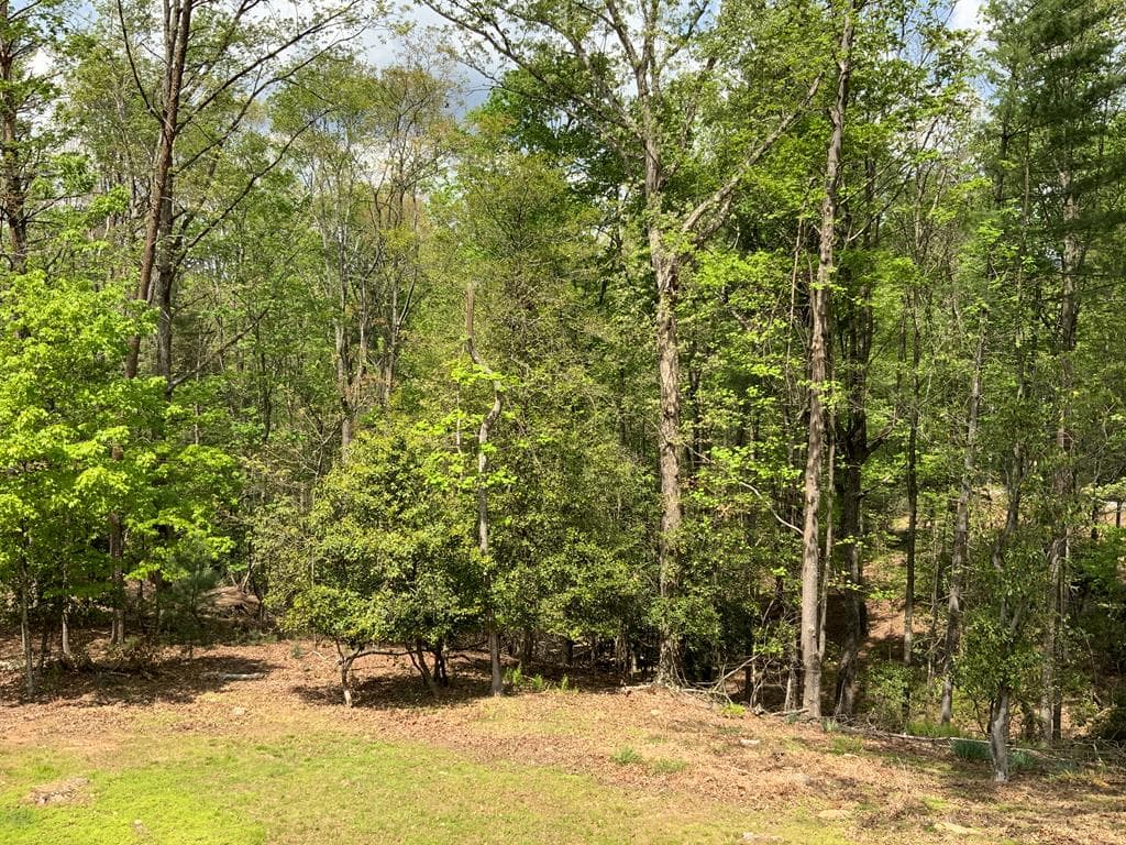426 Shenendoa Dr., Ellijay GA 30540 - Photo