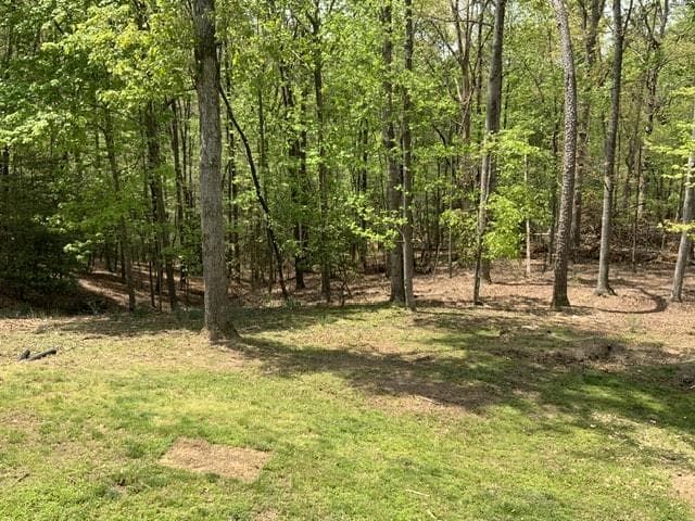 426 Shenendoa Dr., Ellijay GA 30540 - Photo