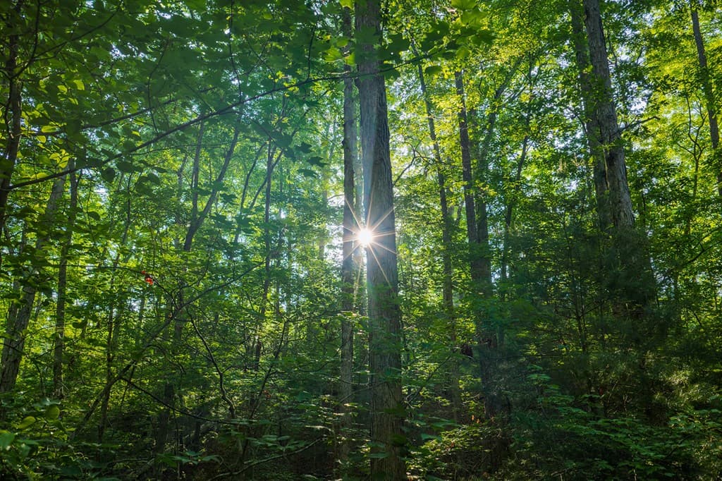 Lot 179 Canoe Point, Ellijay GA 30540 - Photo