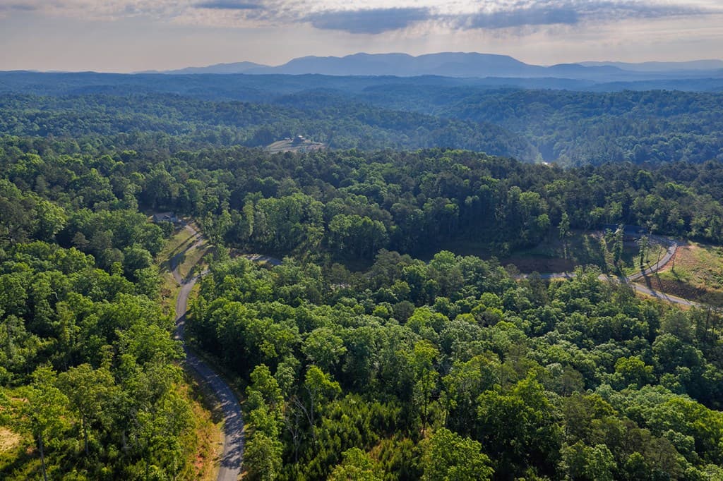 Lot 179 Canoe Point, Ellijay GA 30540 - Photo