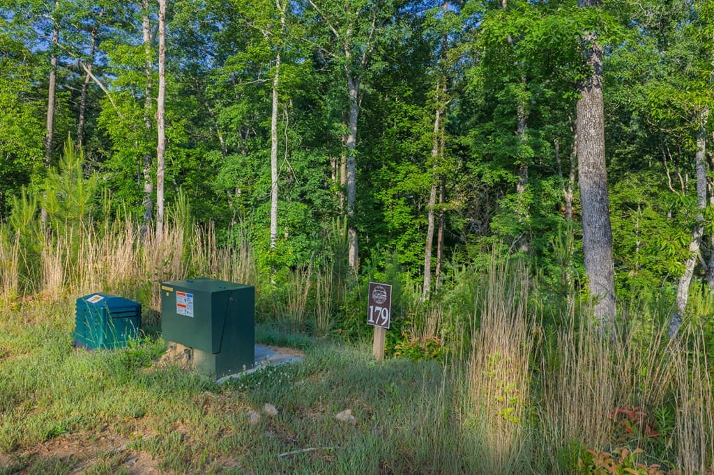Lot 179 Canoe Point, Ellijay GA 30540 - Photo