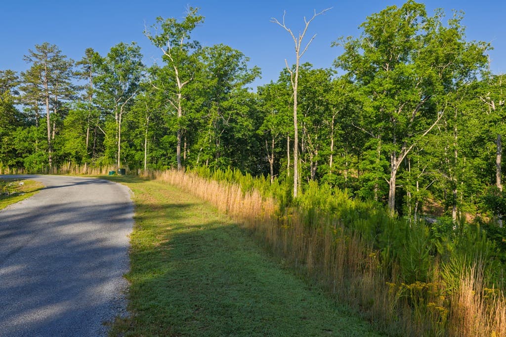 Lot 179 Canoe Point, Ellijay GA 30540 - Photo
