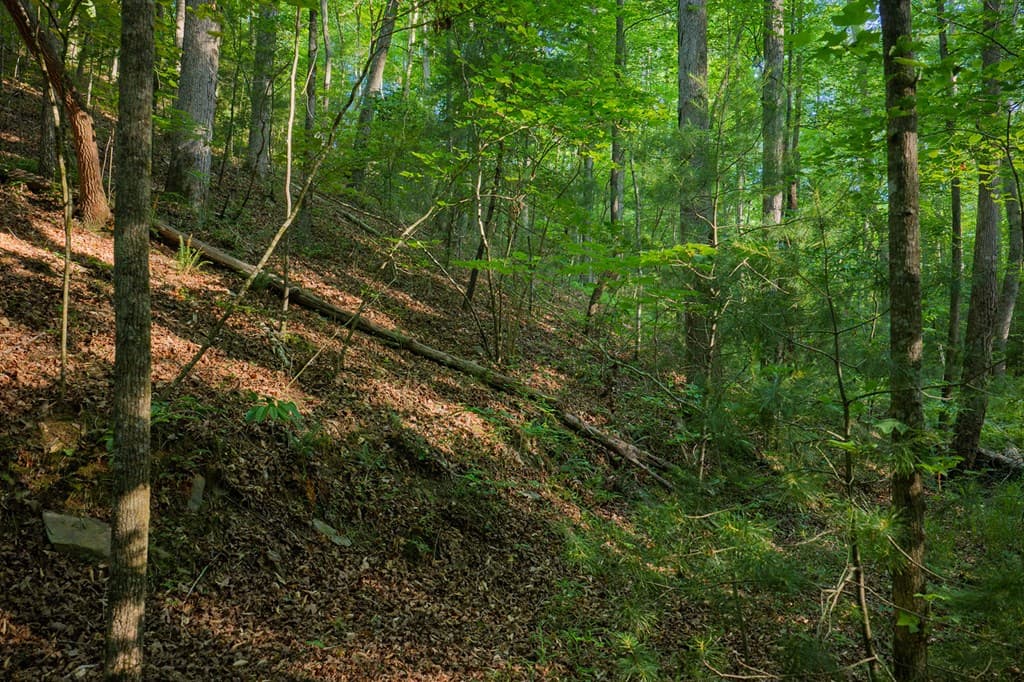 Lot 179 Canoe Point, Ellijay GA 30540 - Photo