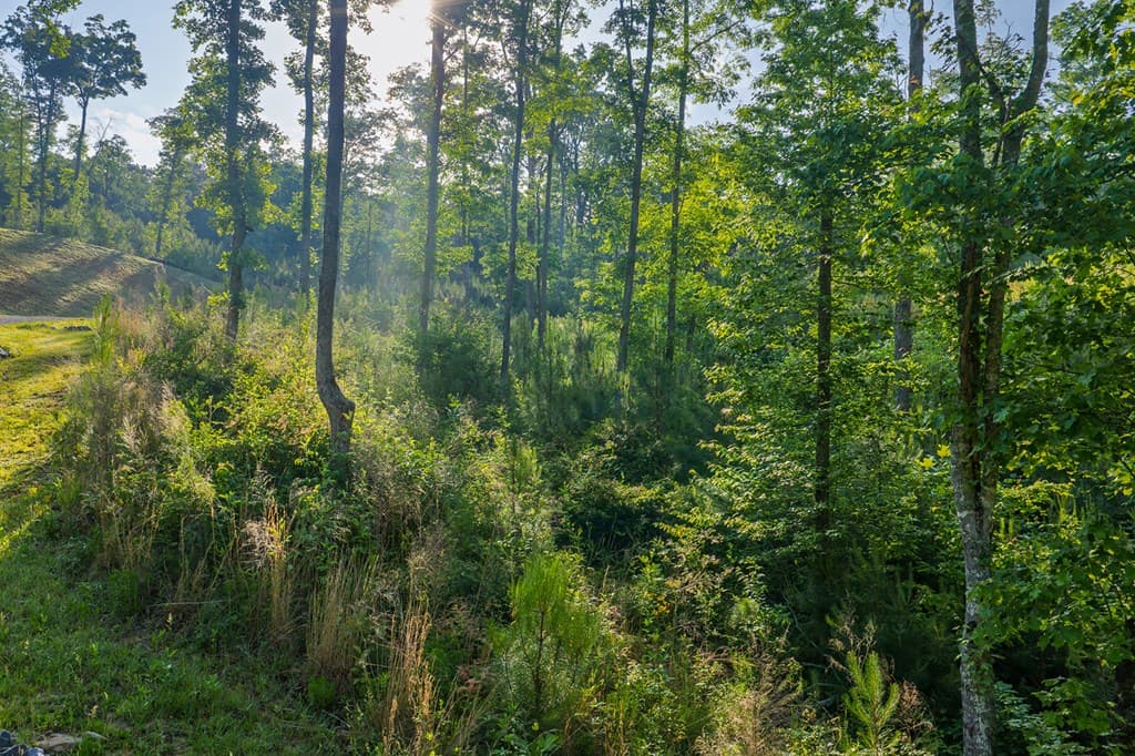 Lot 179 Canoe Point, Ellijay GA 30540 - Photo