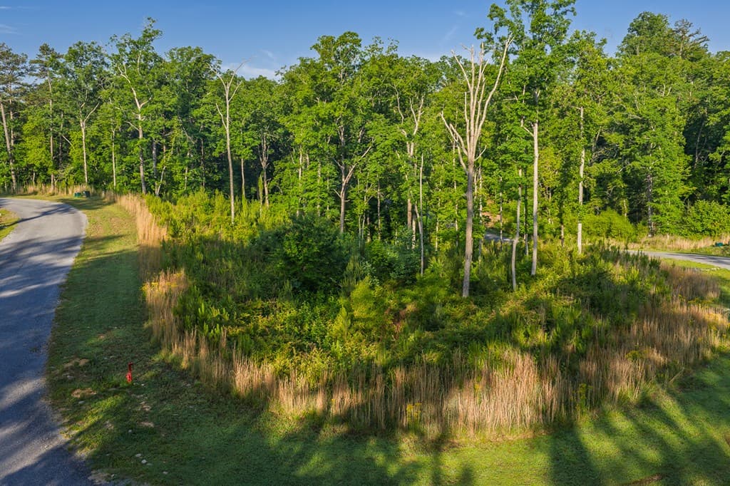 Lot 179 Canoe Point, Ellijay GA 30540 - Photo