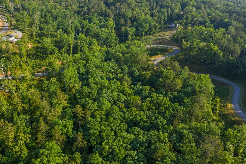 Lot 179 Canoe Point, Ellijay GA 30540 - Photo