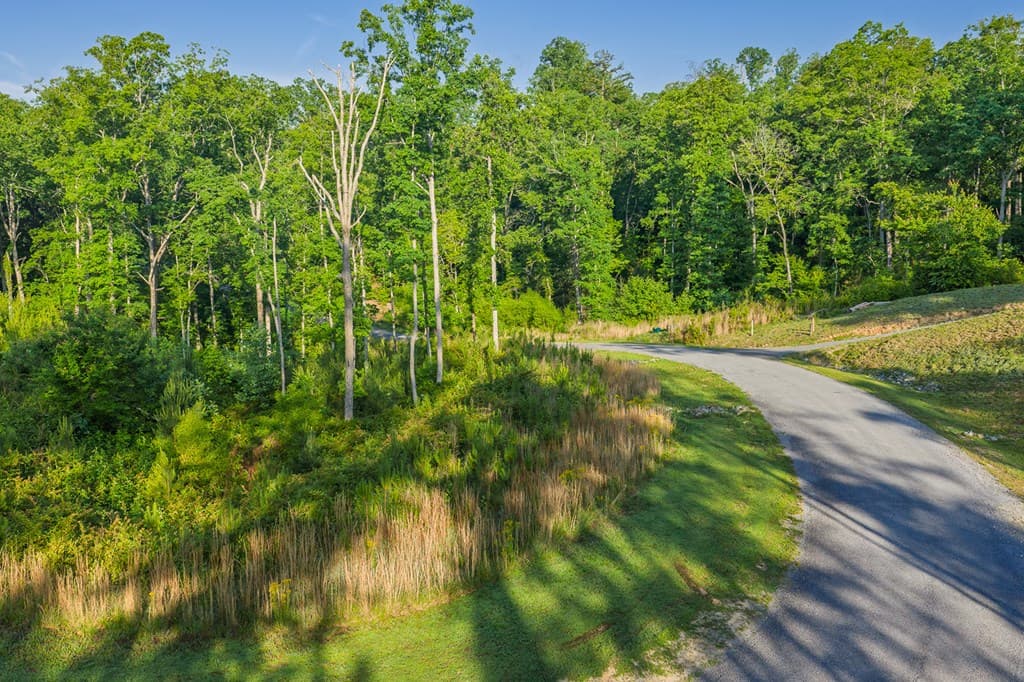 Lot 179 Canoe Point, Ellijay GA 30540 - Photo