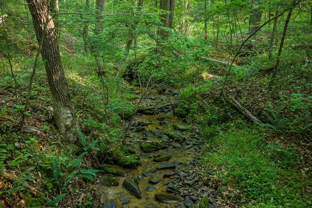 Lot 179 Canoe Point, Ellijay GA 30540 - Photo