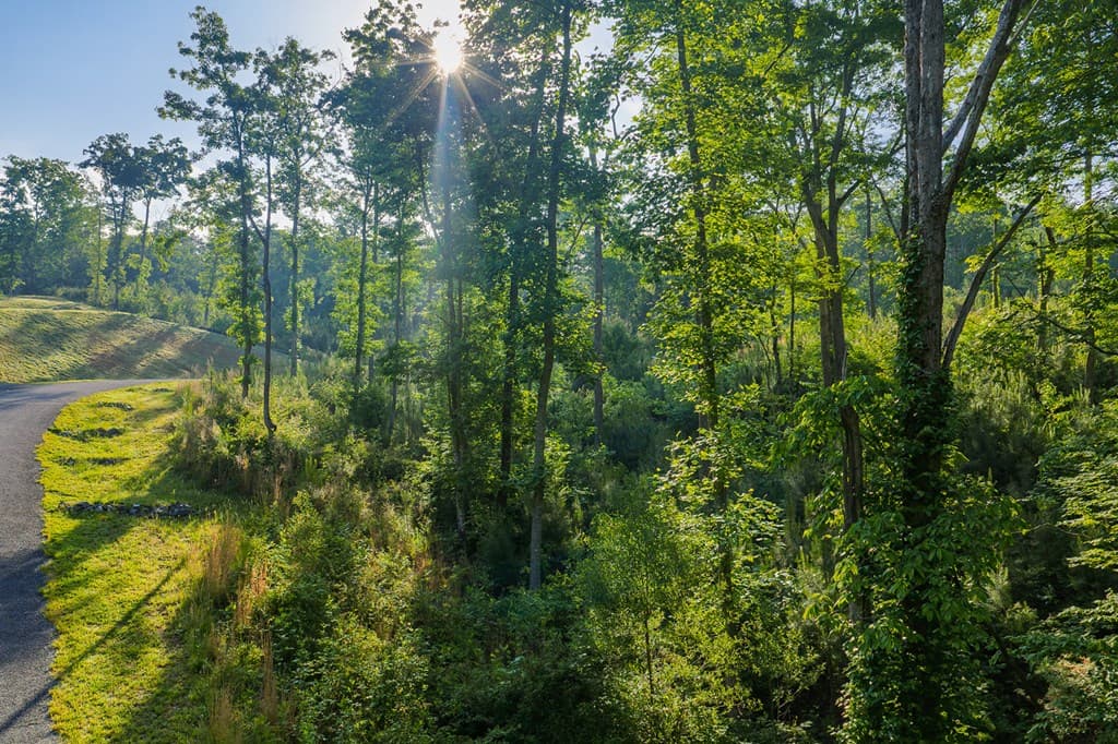 Lot 179 Canoe Point, Ellijay GA 30540 - Photo