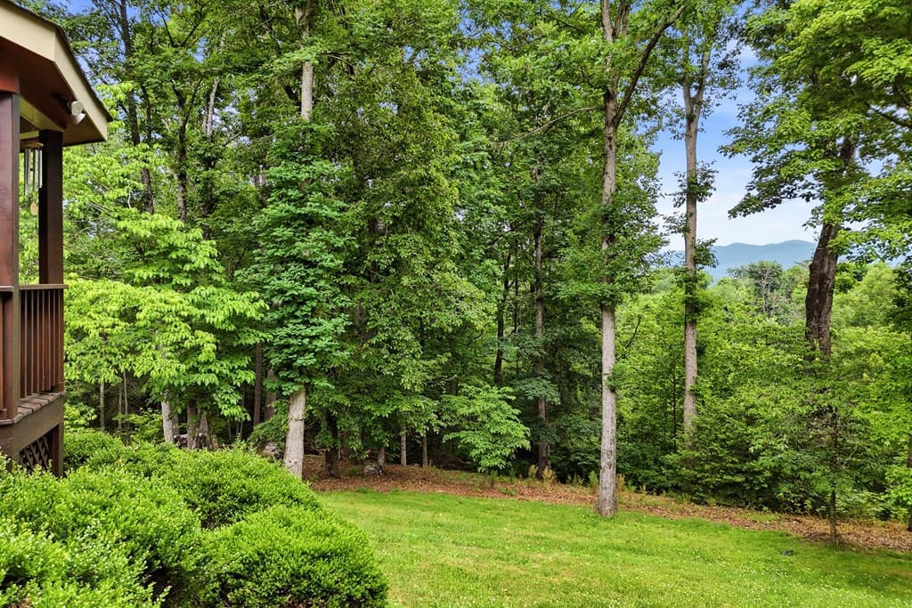1110 Chatsworth Hwy, Ellijay GA 30540 - Photo