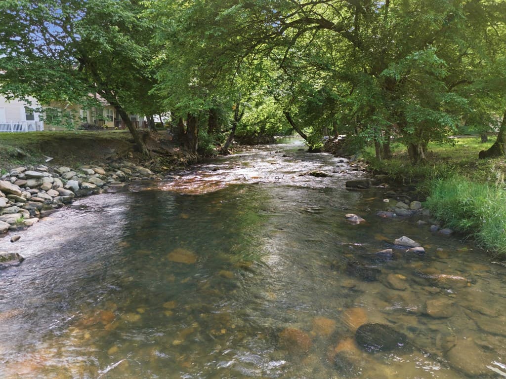 87 Laughing Waters Lane, Hayesville NC 28904 - Photo