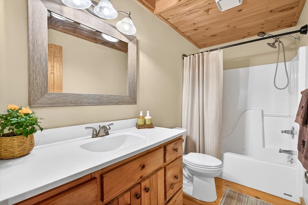 285 Julep Circle, Ellijay GA 30540 - Photo