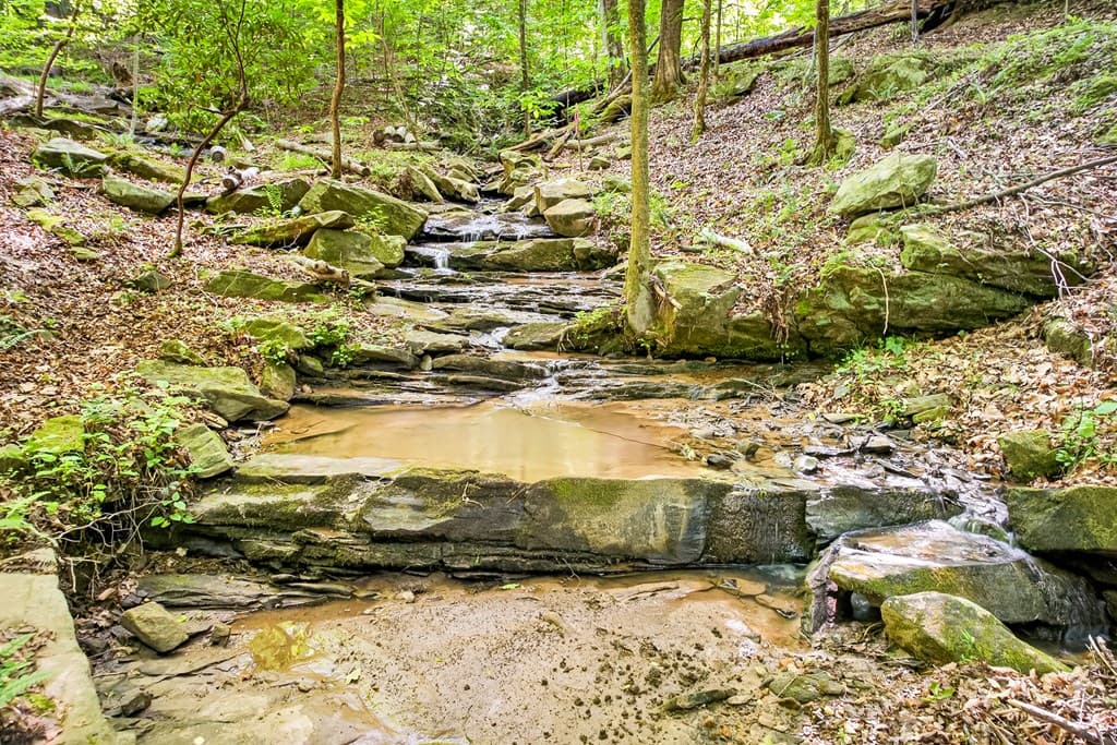 285 Julep Circle, Ellijay GA 30540 - Photo