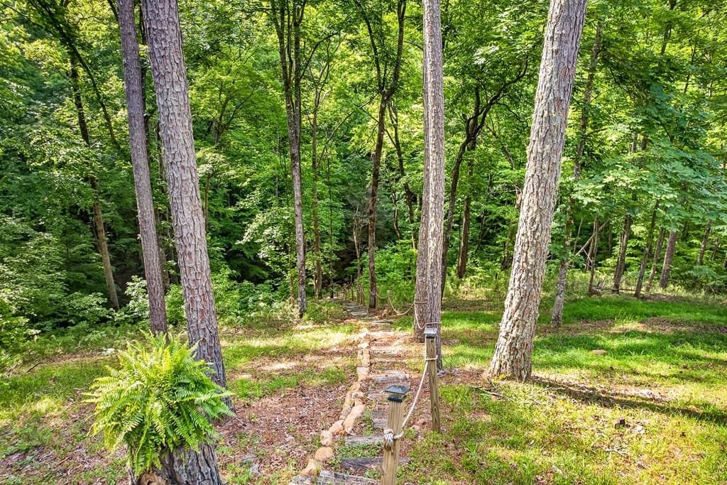 285 Julep Circle, Ellijay GA 30540 - Photo
