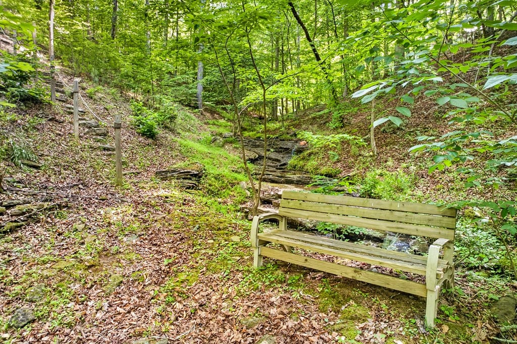 285 Julep Circle, Ellijay GA 30540 - Photo