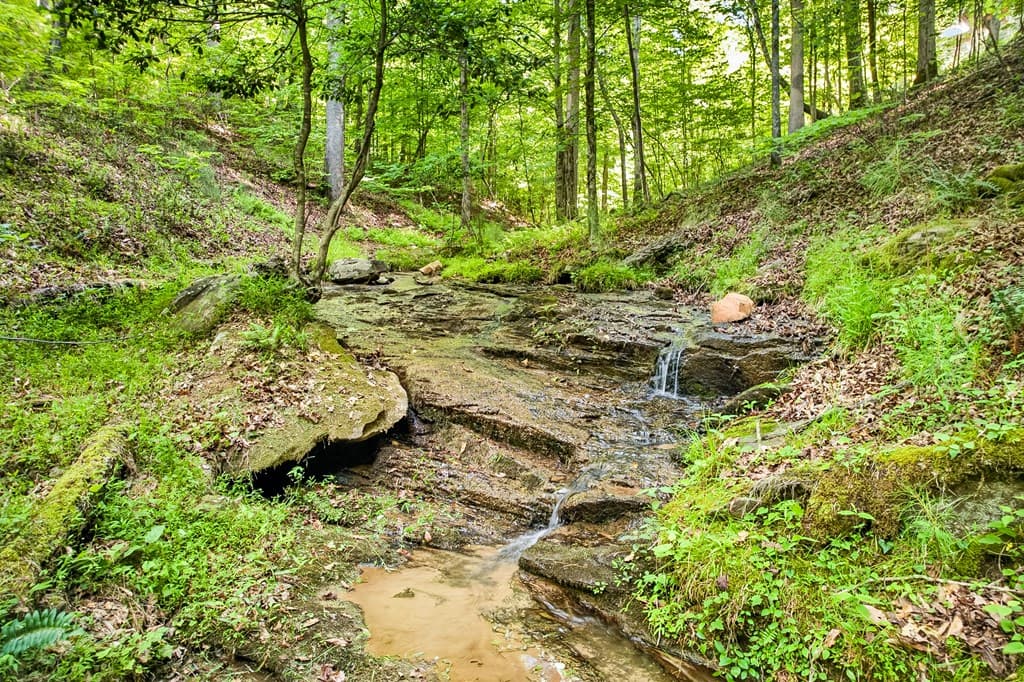 285 Julep Circle, Ellijay GA 30540 - Photo
