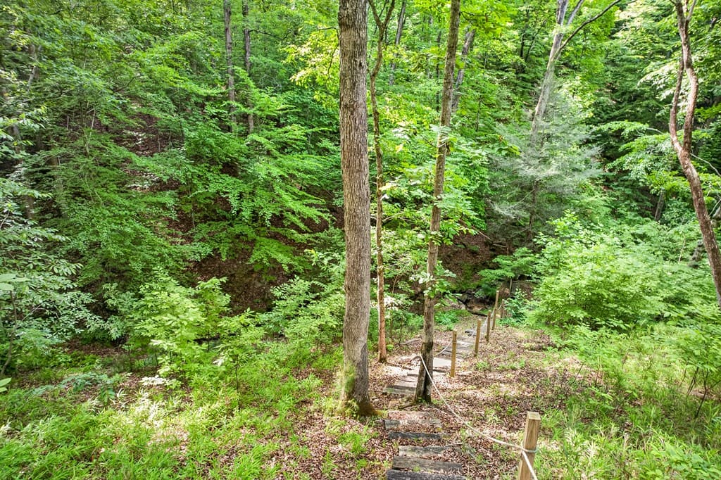 285 Julep Circle, Ellijay GA 30540 - Photo