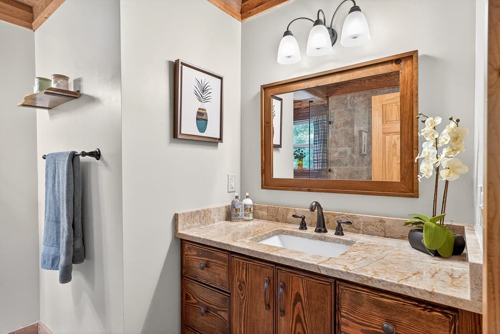 285 Julep Circle, Ellijay GA 30540 - Photo