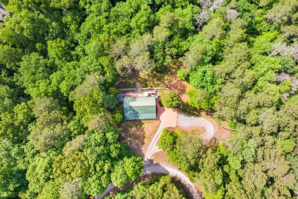 285 Julep Circle, Ellijay GA 30540 - Photo