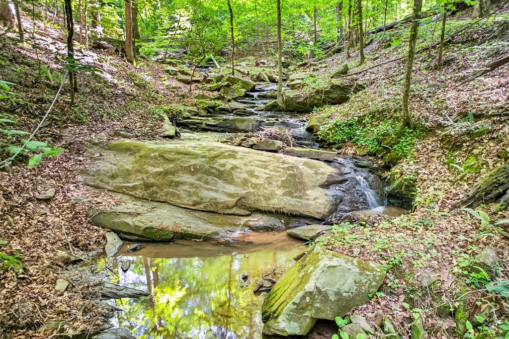 285 Julep Circle, Ellijay GA 30540 - Photo