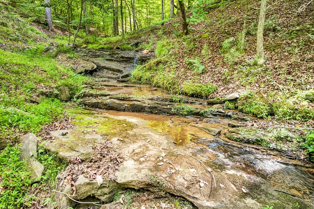 285 Julep Circle, Ellijay GA 30540 - Photo