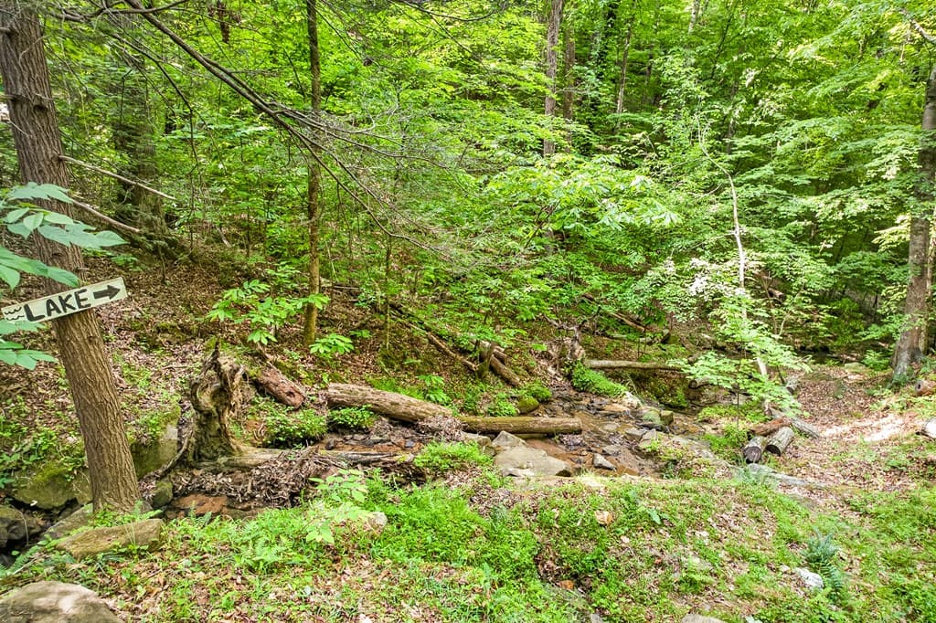 285 Julep Circle, Ellijay GA 30540 - Photo