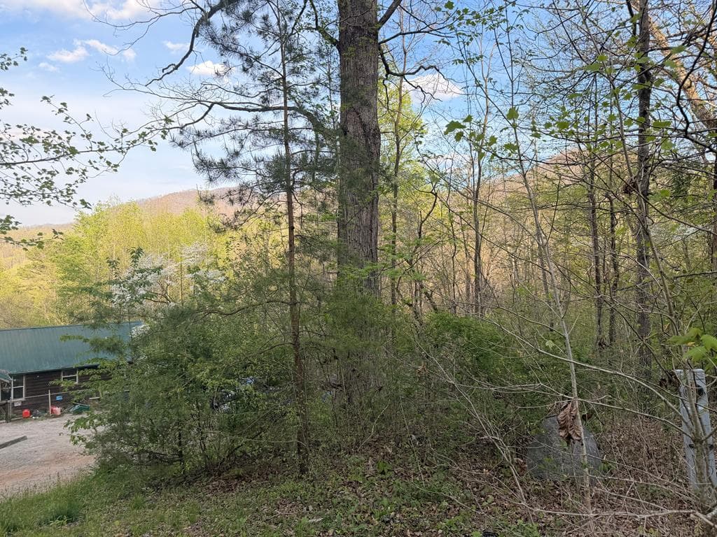 Lot 2 Anns Lane, Hayesville NC 28904 - Photo