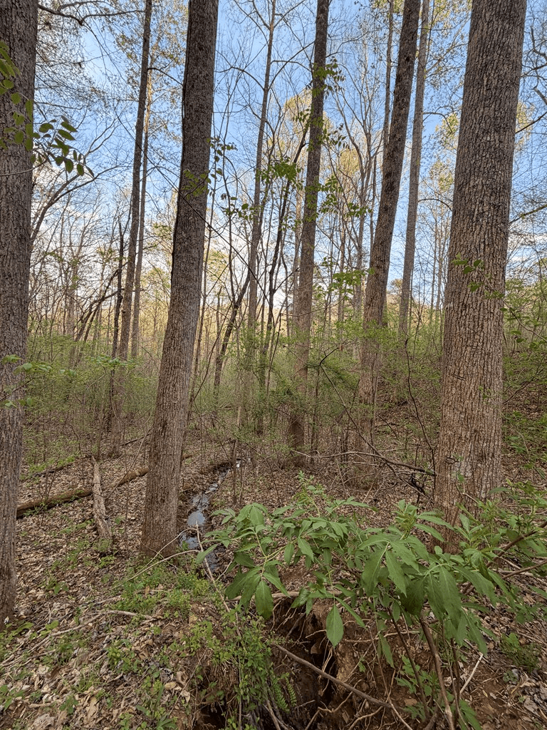 Lot 2 Anns Lane, Hayesville NC 28904 - Photo
