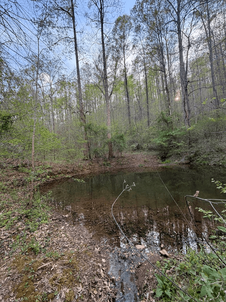 Lot 2 Anns Lane, Hayesville NC 28904 - Photo