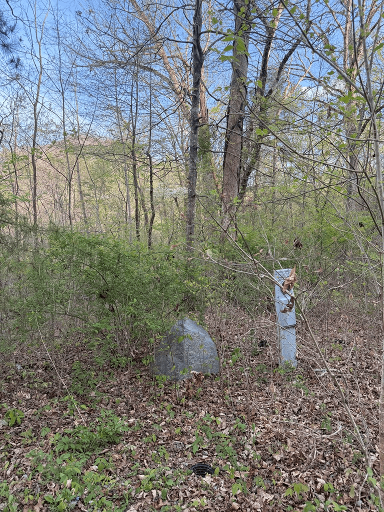 Lot 2 Anns Lane, Hayesville NC 28904 - Photo
