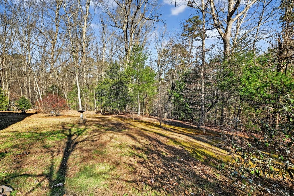1575 Yukon Road, Ellijay GA 30540 - Photo