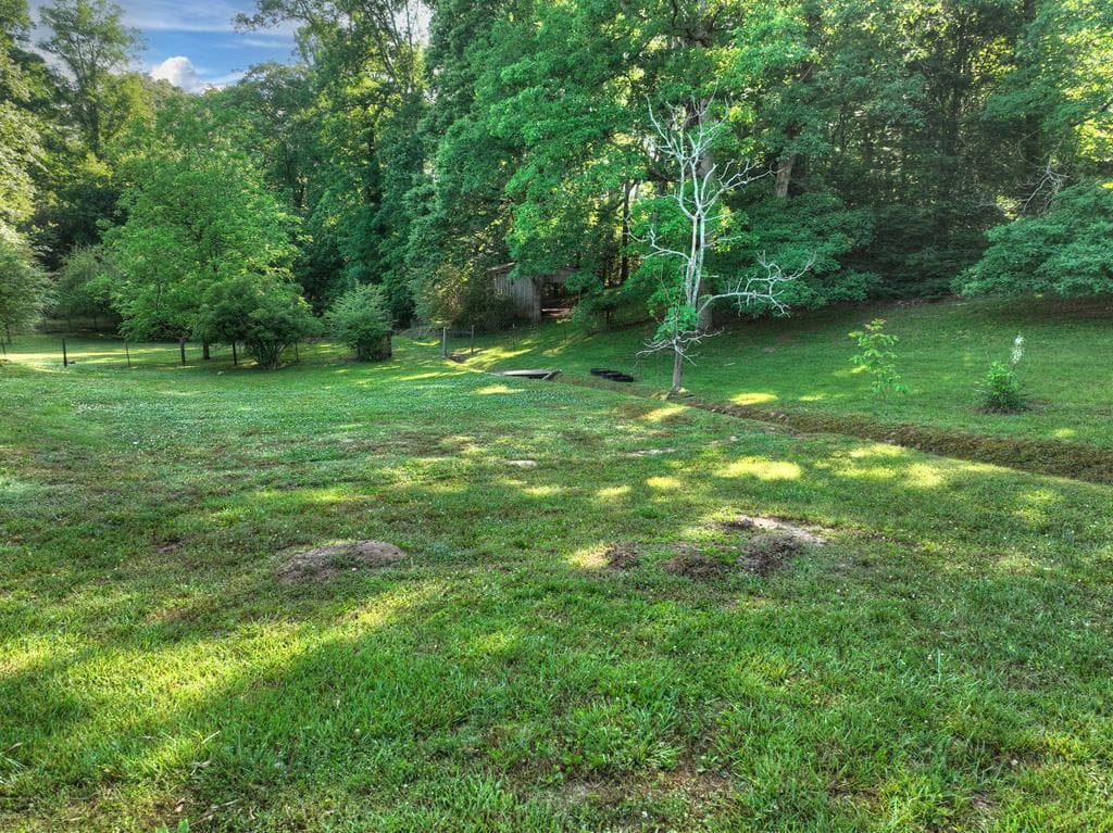 1575 Yukon Road, Ellijay GA 30540 - Photo
