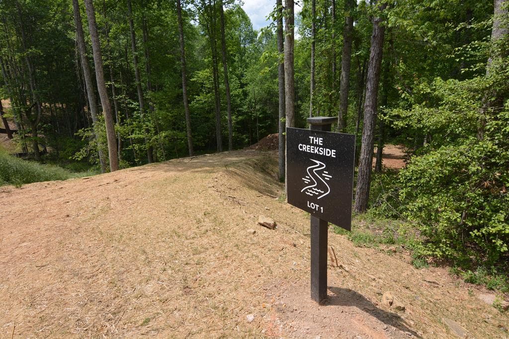 Lot 1 Murphy Hwy (Spur 60), Mineral Bluff GA 30559 - Photo