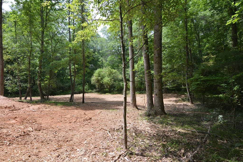 Lot 1 Murphy Hwy (Spur 60), Mineral Bluff GA 30559 - Photo