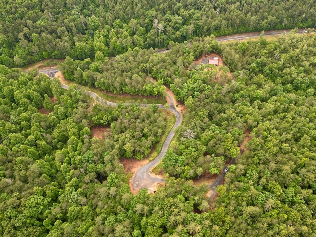 Lot 1 Murphy Hwy (Spur 60), Mineral Bluff GA 30559 - Photo