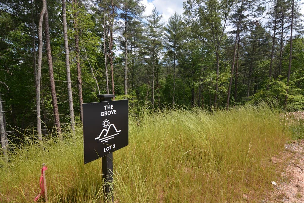 Lot 3 Murphy Hwy (Spur 60), Mineral Bluff GA 30559 - Photo