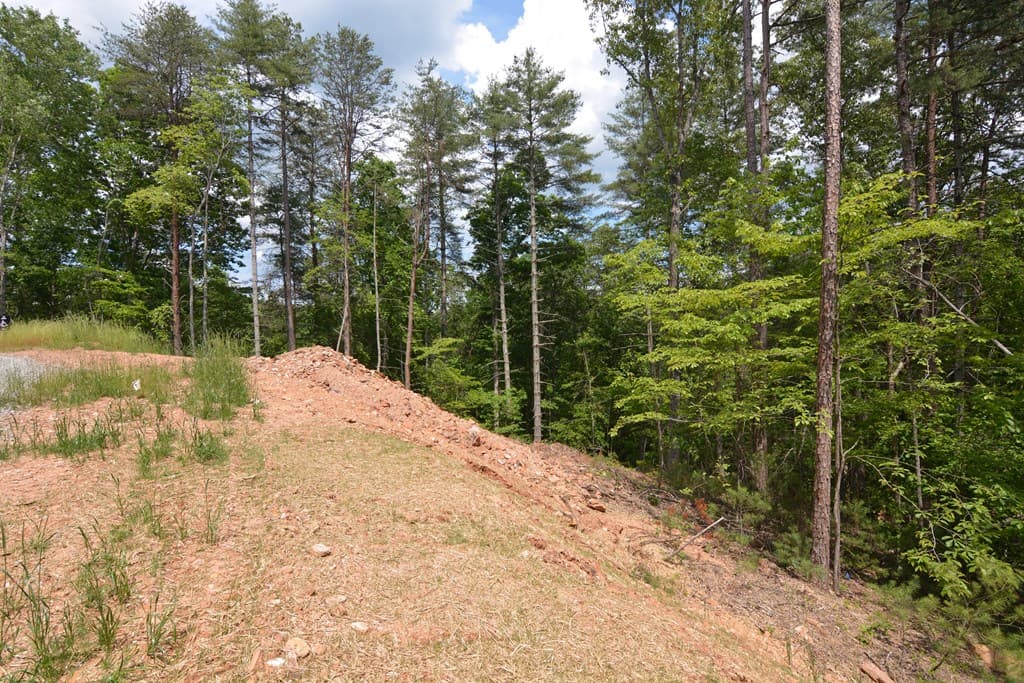 Lot 3 Murphy Hwy (Spur 60), Mineral Bluff GA 30559 - Photo