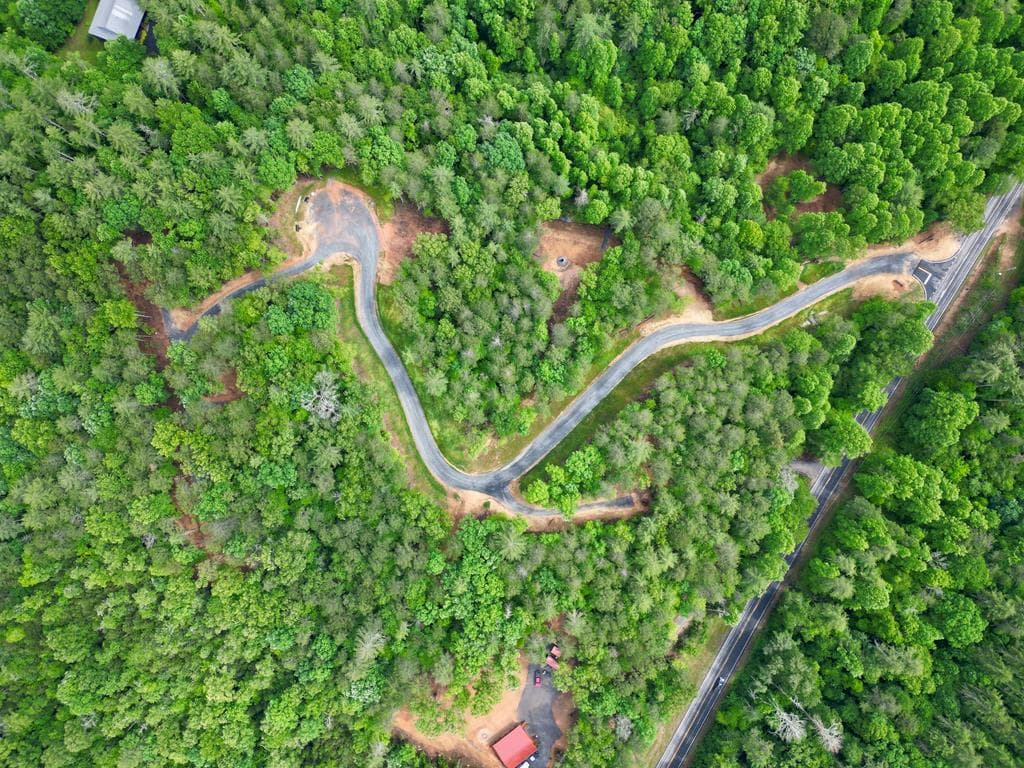 Lot 5 Murphy Hwy (Spur 60), Mineral Bluff GA 30559 - Photo